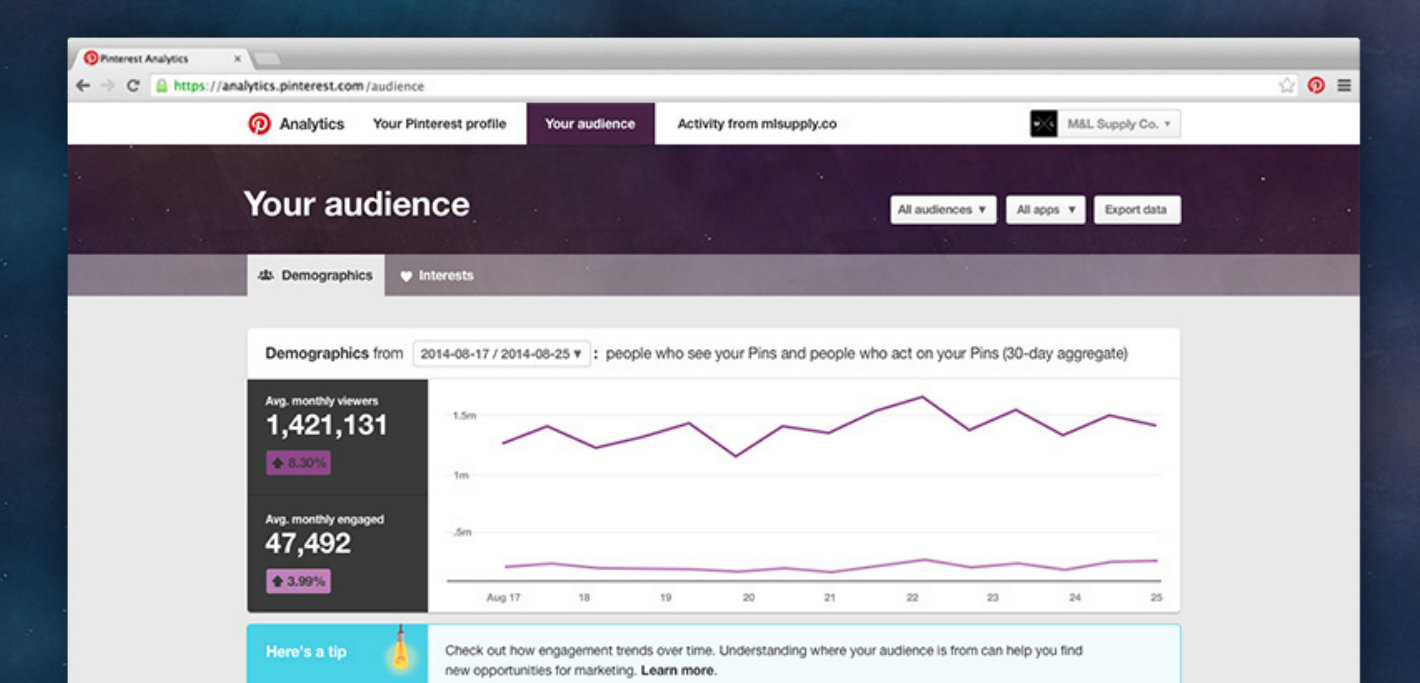 Pinterest Analytics: Using Your Pinterest Audience