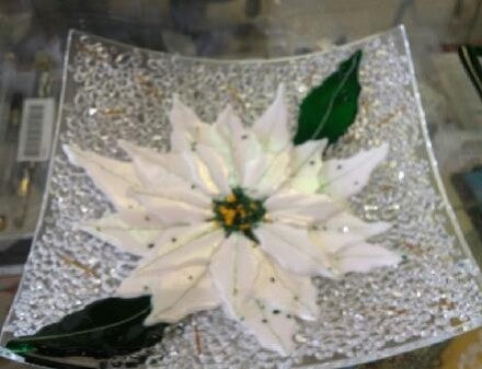 White Iridized Poinsettia