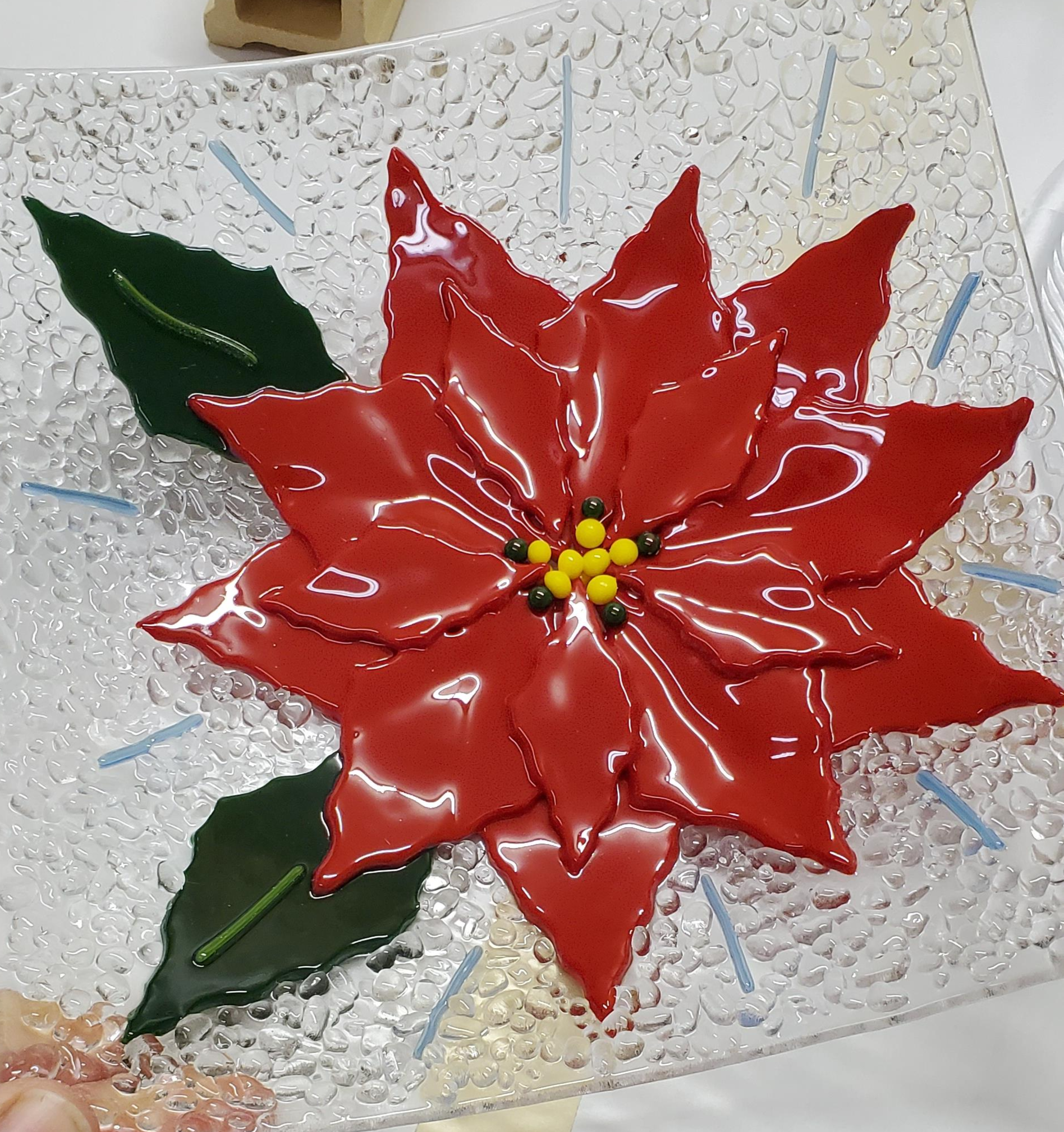 Red Opal Poinsettia