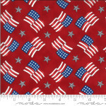 Patriotic Prints!