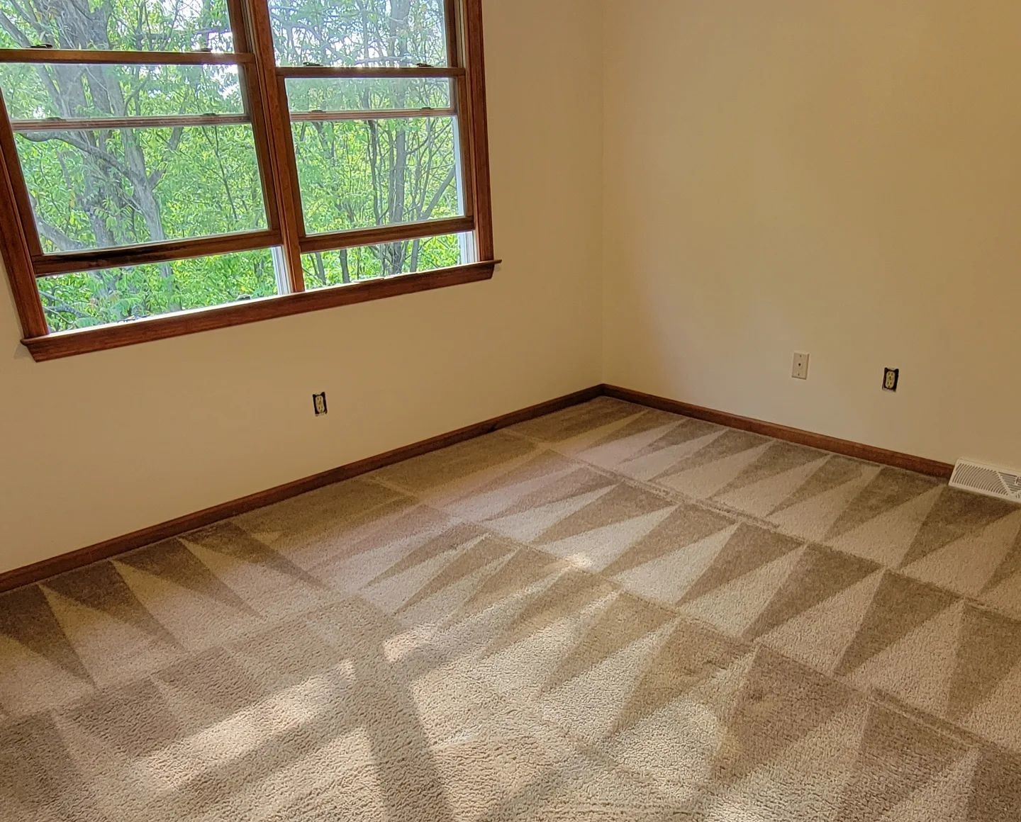 Pittsburgh Green Carpet Clean