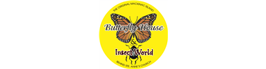 The Original Mackinac Island Butterfly House &amp; Insect World