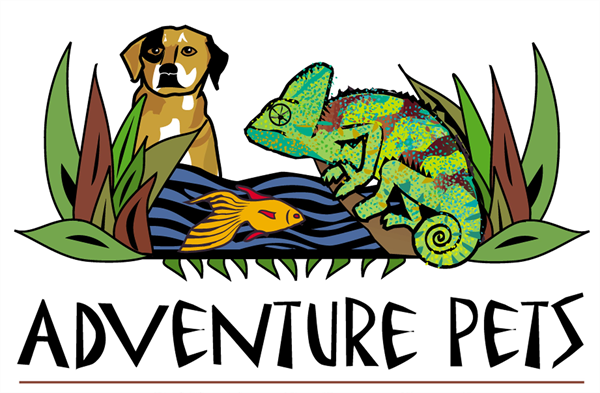 Adventure Pets